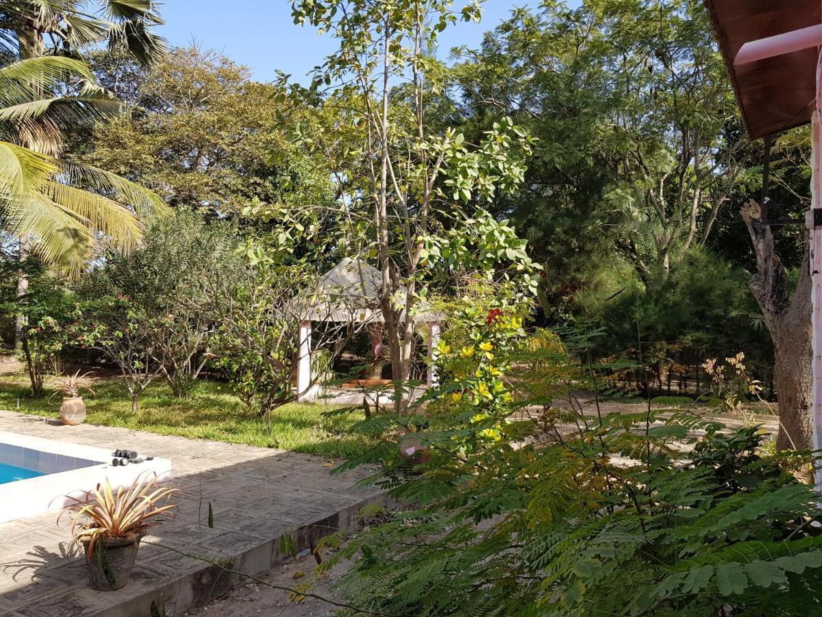 Villa Amarant - Private Garden With Pool Retreat Sanyang Exterior foto